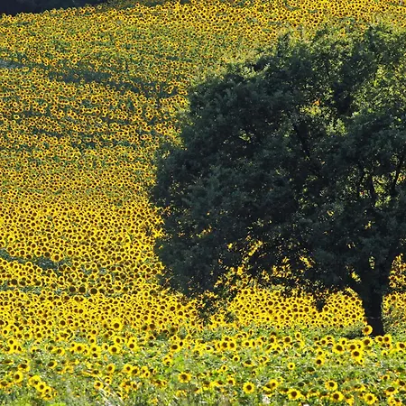 In Pg * San Giustino