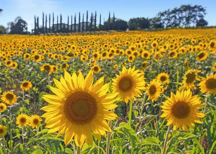 In Pg Casa de Férias *